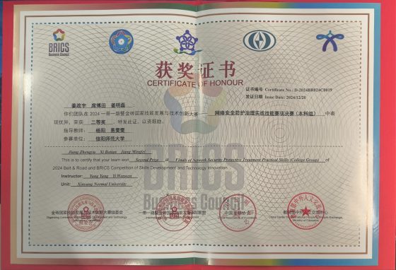 2024 一带一路暨金砖国家技能发展与技术创新大赛全国总决赛二等奖